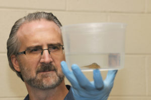 Professor Matt Gray holds a plastic container with a salamander inside.