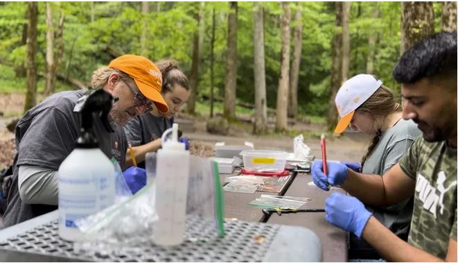 Four people sit at a table in the Great Smoky Mountains National Park while taking samples on salamanders.